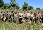Polres-Kupang-Gelar-Panen-Raya-Jagung-Serentak-Tahap-I-di-Kupang-Timur
