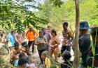 Hari-Ketiga-Pencarian,-Warga-Oelatsala-Ditemukan-Selamat-di-Hutan-Tublopo
