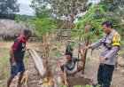 Bhabinkamtibmas-Polsek-Amfoang-Utara-Sigap-Tangani-Anjing-Diduga-Rabies,-Warga-Desa-Fatunaus-Merasa-Aman