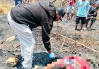 Kebakaran-Lahan-di-Desa-Oemasi,-Satu-Orang-Meninggal-Dunia,-Polsek-Kupang-Barat-Lakukan-Penanganan-TKP