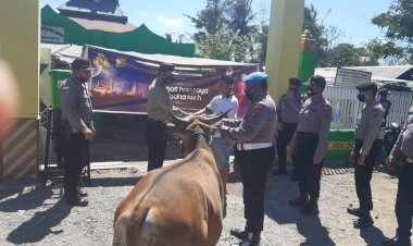 Kapolres-Kupang-Serahkan-Hewan-Qurban-Kepada-Masjid-Al-Falah--dan-Nurul-Jadid