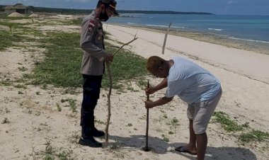 Aksi-Kapolsek-Semau-Cegah-Abrasi-Dengan-Menanam-Ratusan-Mangrove