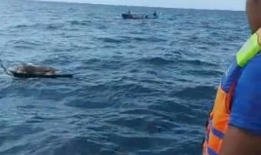 Mayat--Yang--ditemukan-Terapung-di-Pantai-Semau-adalah-Mayat--Atrohanus-Malafu