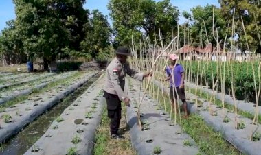 Aiptu-Jermit,-Polisi-Inspiratif-Buka-Lahan-Pertanian-demi- Menolong-Sesama