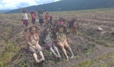 Enam--Warga-Papua-Tengah-Meninggal-Akibat-Dampak-El-Nino