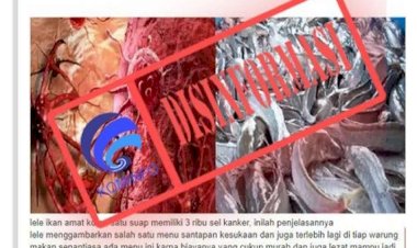 [Hoaks]-Ikan-Lele-Mengandung-Ribuan-Sel-Kanker