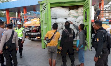 Belasan-Parang-Sumba-dan-Ratusan-Liter-Miras-Disita-Tim-Satgas--Operasi-Pekat-Polres-Kupang
