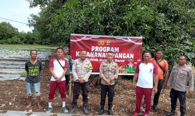 Kapolres-Kupang-Inisiasi-Polsek-Jajaran-Buka-Lahan-Perkebunan-untuk-Dukung-Program-Ketahanan-Pangan