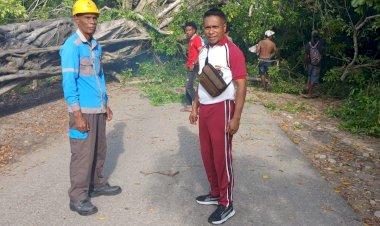 Polsek-Sulamu-Bersama-Warga-Gotong-Royong-Evakuasi-Pohon-Tumbang-di-Jalan-Trans-Amfoang