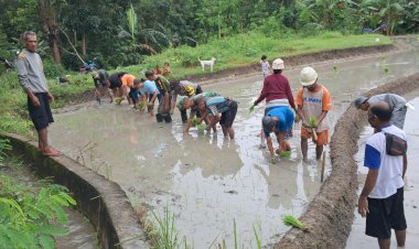 Jalin-Keakraban-dengan-Warga,-Bhabinkamtibmas-Desa-Toobaun-dan-Babinsa-Laksanakan-Penanaman-Padi