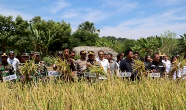 Kapolres-Kupang-Hadiri-Panen-Raya-di-Desa-Pantulan-Kabupaten-Kupang,-Tegaskan-Komitmen-Kawal-Distribusi-Pangan-Masyarakat