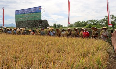 Hadiri-Panen-Raya-Padi-Bendungan-Leter-T-Babau-Kupang-Timur-Bersama-Pasis-Dikreg-LIII-Sesko-TNI-TA-2025,-Kapolres-Puji-Langkah-TNI-Atasi-Ketahanan-Pangan