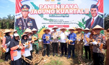 Kapolres-Kampar-Panen-Raya-Jagung: -Wujud-Dukungan-Nyata-untuk-Ketahanan-Pangan-Nasional
