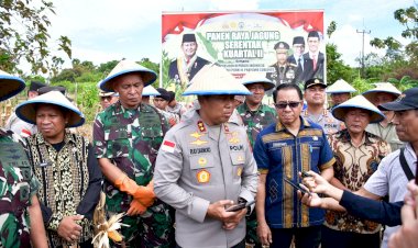 Kapolda-NTT-Pimpin-Panen-Raya-Jagung-Serentak,-Dorong-NTT-Jadi-Lumbung-Pangan-Nasional--Kepala-Kepolisian-Daerah-Nusa