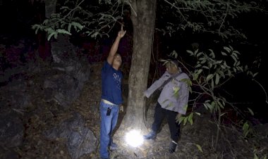 Seorang-Lansia-di-Amfoang-Utara-Tewas-Terjatuh-Saat-Memetik-Asam