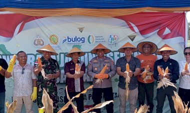 Sinergi-Polres-Kupang-dan-Petani-Tuatuka,-Panen-Raya-Jagung-Kuartal-III-Warnai-Gerakan-Nasional-Ketahanan-Pangan
