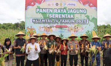 Kapolda-NTT-Pimpin-Panen-Raya-Jagung-Serentak-di-Kupang-Barat,-Dukung-Swasembada-Pangan-Nasional