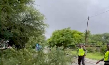 Sat-Lantas-Polres-Kupang-Sigap-Evakuasi-Pohon-Tumbang-di-Jalan-Timor-Raya