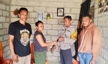 Polsek-Kupang-Barat-Amankan-Temuan-Senjata-Api-Rakitan-di-Desa-Bone-Nekamese