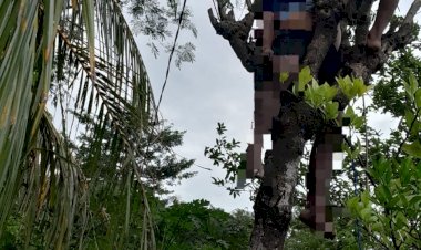 Tersengat-Listrik-Tegangan-Tinggi,-Warga-Tesbatan-1-Meninggal-Dunia