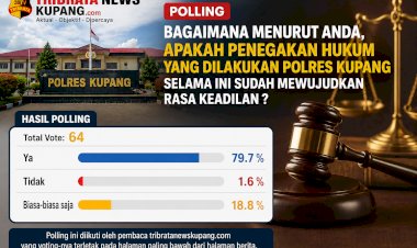 Polling-Tribrata-News-Kupang,-Mayoritas-Warga-Nilai-Penegakan-Hukum-Polres-Kupang-Sudah-Berkeadilan