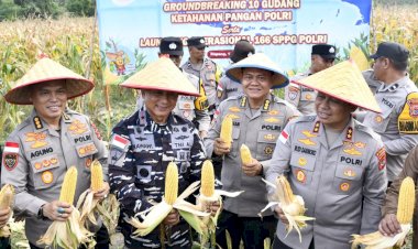Di-Tengah-Hujan,-Kapolda-NTT-Pimpin-Semangat-Ketahanan-Pangan-Lewat-Panen-Raya-Jagung-2026