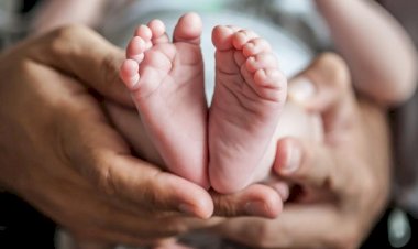 Warga-Nonbes-Geger,-Bayi-Perempuan-Ditemukan-Hidup-dalam-Kardus-di-Hutan-Mnera-Kabnono