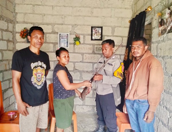 Polsek Kupang Barat Amankan Temuan Senjata Api Rakitan di Desa Bone Nekamese