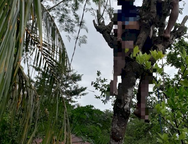 Tersengat Listrik Tegangan Tinggi, Warga Tesbatan 1 Meninggal Dunia