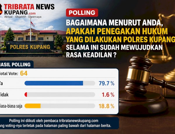 Polling Tribrata News Kupang, Mayoritas Warga Nilai Penegakan Hukum Polres Kupang Sudah Berkeadilan