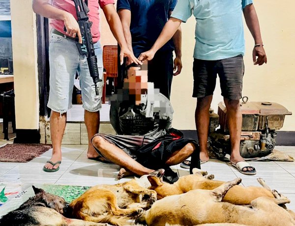Bawa Lima Ekor Anjing Curian, Pelaku Pencurian Hewan Dibekuk Resmob Polres Kupang di Sulamu