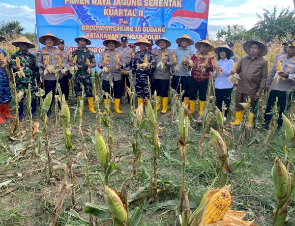 Dukung Ketahanan Pangan Nasional, Kapolda NTT dan Kapolres Kupang Gelar Panen Raya Jagung di Tuatuka