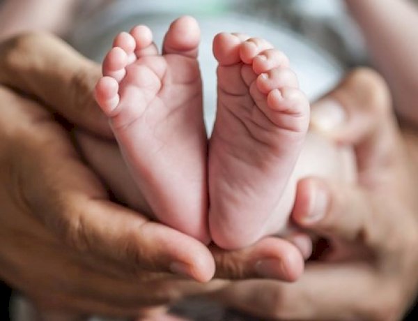 Warga Nonbes Geger, Bayi Perempuan Ditemukan Hidup dalam Kardus di Hutan Mnera Kabnono