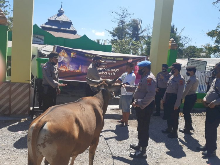 Masjid Nurul Jadid Babau Kupang Timur Terima Hewan Qurban Polres Kupang