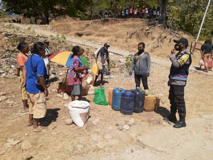 Polsek Amfoang Utara Amankan Ratusan Liter Miras Jenis Sopi Bersama Pemiliknya