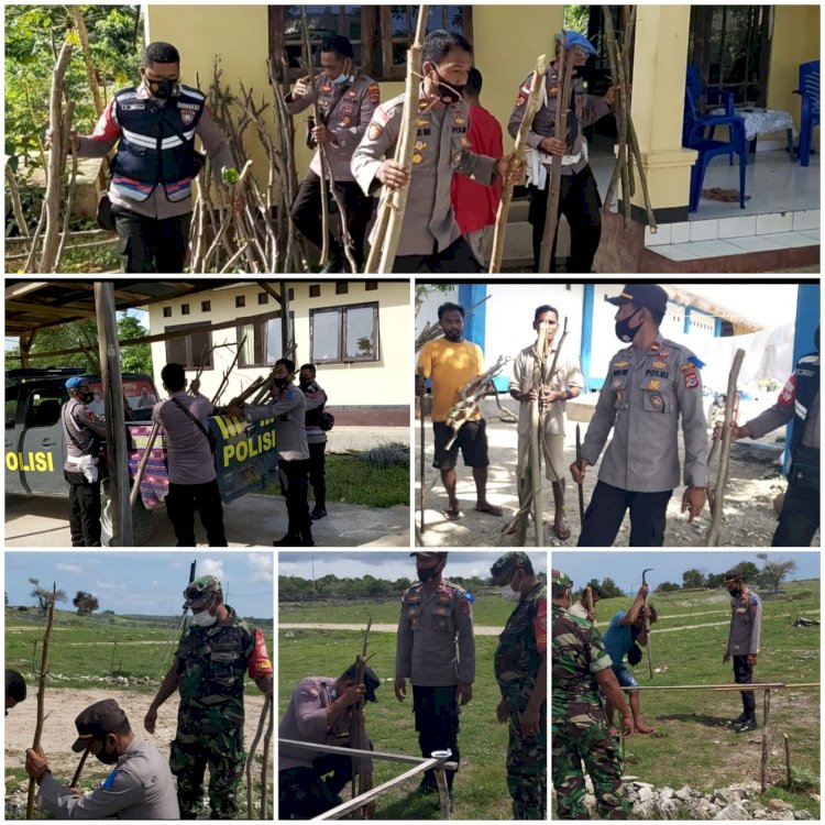 Aksi Kapolsek Semau Cegah Abrasi Dengan Menanam Ratusan Mangrove