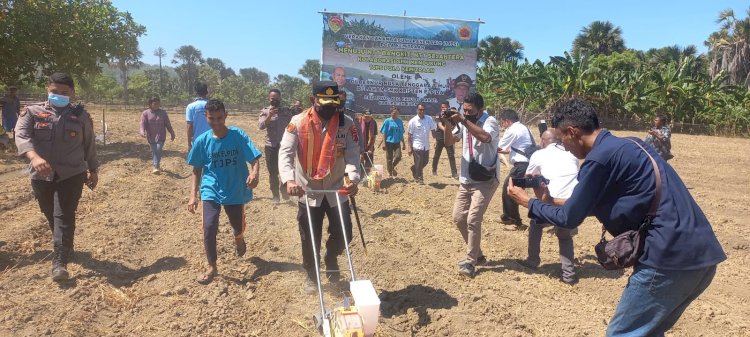 Kapolres Kupang Tanam Jagung Bersama Gubernur  NTT