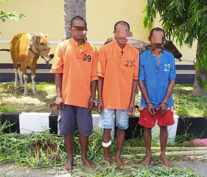 Lagi-Lagi  Jaringan Curnak di Kabupaten Kupang Beraksi, Pelaku  di Dor  Tim Buser Polres Kupang