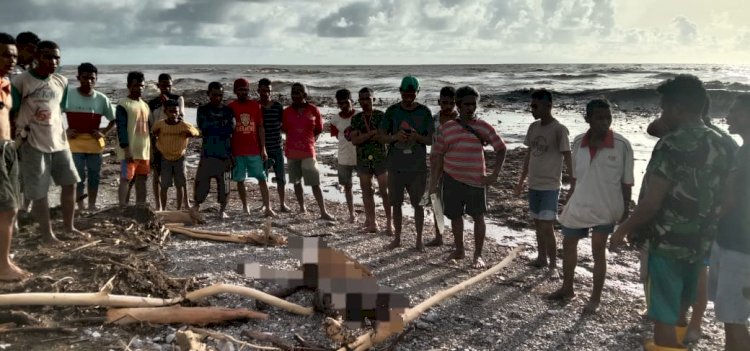 Nekat Menyeberang Sungai Warga Desa Oelfatu Amfoang Barat Daya Terseret Banjir 