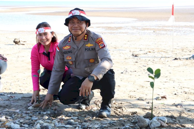 Polri Gelar Penghijauan Serentak, Kapolres Kupang Pimpin Anggota Tanam 1000 Mangrove dan Lepas Ratusan  Anak Penyu