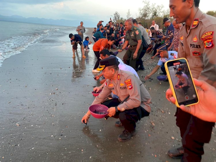 Road To Hari Konservasi Alam Nasional,  HUT TNI dan HMN, Dirjen KSDAE Lepas  540 Tukik