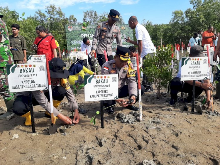 Kapolres Kupang Hadiri Penanaman 1500 Anak Mangrove di Pantai Oebelo Kecil