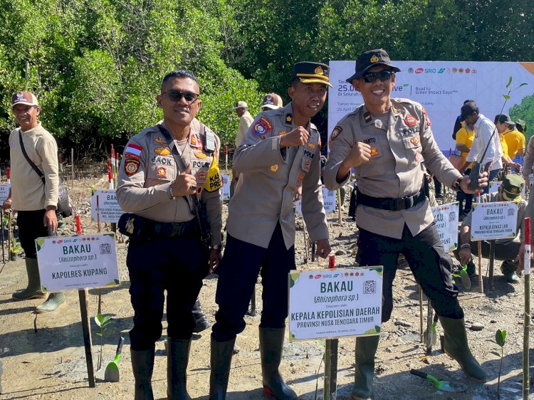 Polres Kupang Turut Andil Dalam Penanaman 2500 Anakan Mangrove di TWAL Teluk Kupang