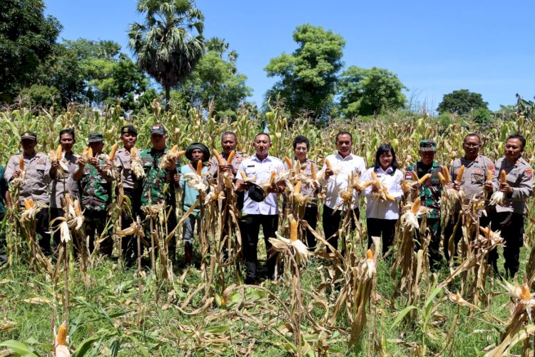 Polres Kupang Gelar Panen Raya Jagung Serentak Tahap I di Kupang Timur