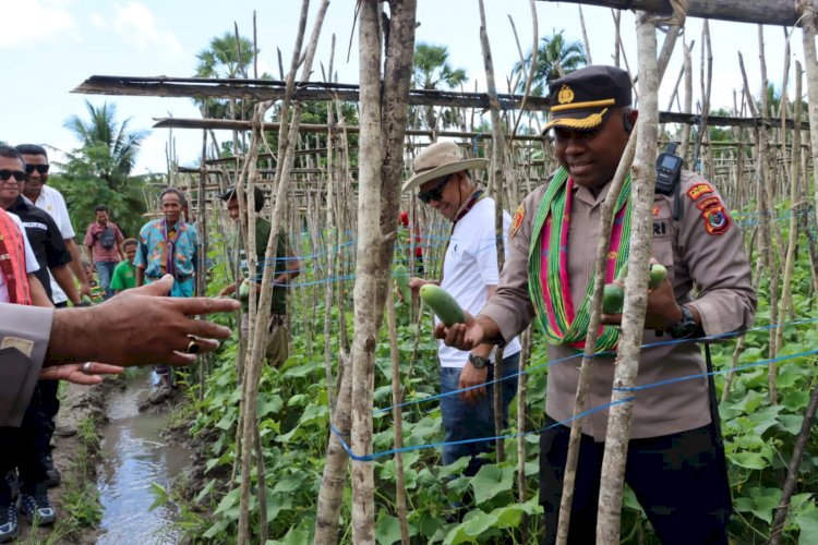 Kapolres Kupang Hadiri Kunjungan Bupati Kupang di Kelompok Tani Fatumone, Dukung Peningkatan Indeks Pertanaman IP 200