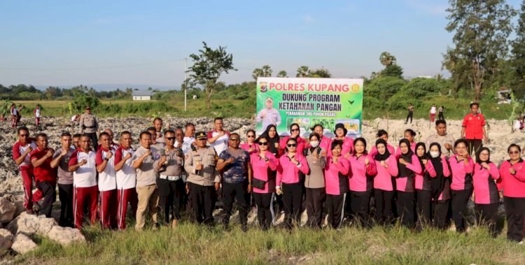 Polres Kupang Sulap Lahan Tandus Jadi Kebun Pisang, Tanam 300 Anakan Berbagai Jenis