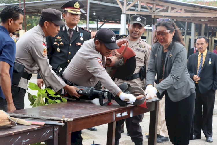 Peringati Hari Bhayangkara ke-79, Polres Kupang Musnahkan Ratusan Liter Miras, Sajam, dan Senpi Rakitan