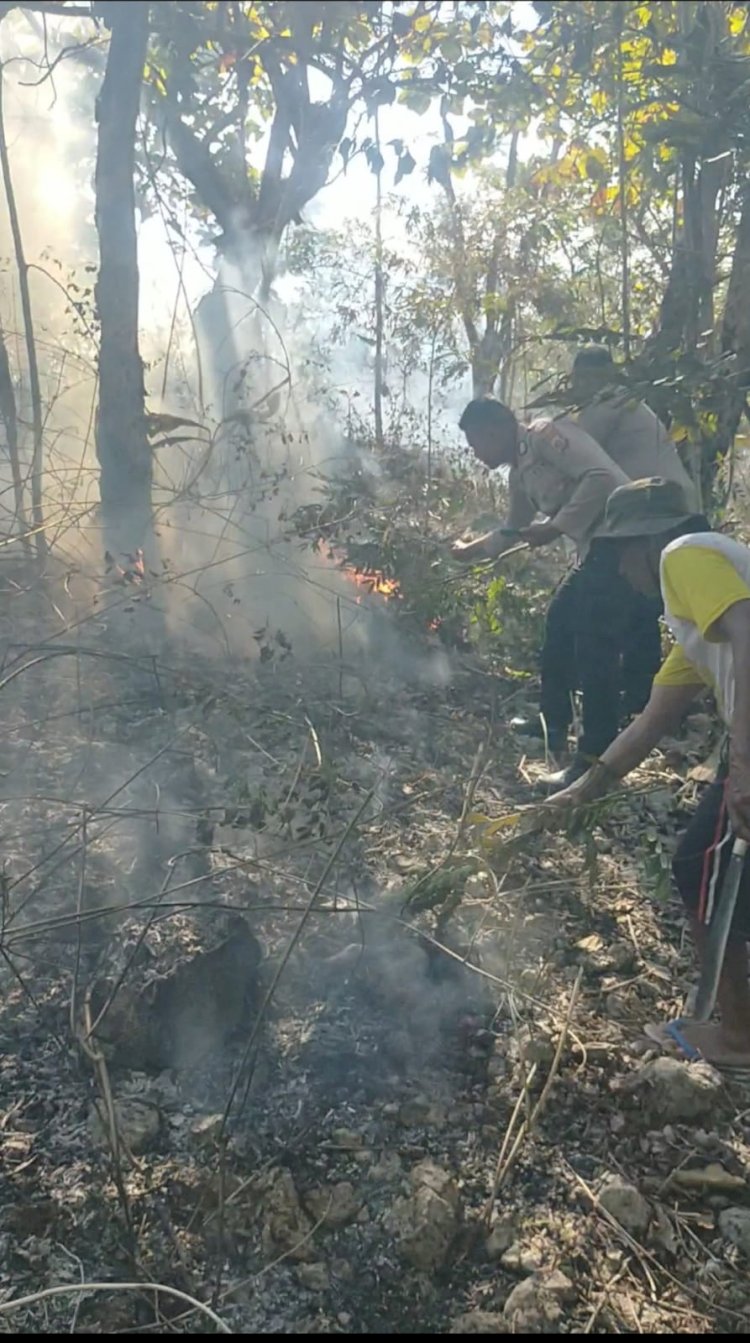 Polsek Fatuleu Bersama Warga Padamkan Kebakaran Hutan di Kawasan KSDA Camplong