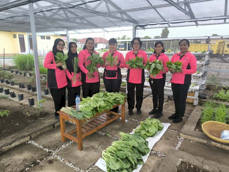 Panen Perdana Pekarangan Pangan Lestari Bhayangkari Polres Kupang, Wujud Kemandirian dan Ketahanan Pangan Keluarga Polisi