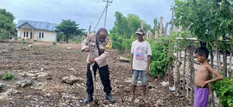 BHABINKAMTIBMAS DESA PANTULAN AJAK WARGA TANAM JAGUNG DAN INGATKAN WASPADA HOAKS DI MEDIA SOSIAL